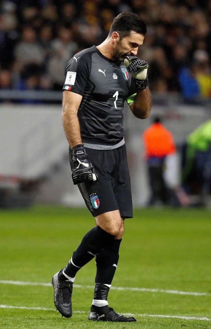 奎尔继续养 奎尔继续养